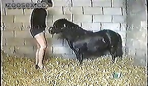 Putas safadas danadinha ligando para o seu macho fodedor da porra ir lhe dar uma comida da boa em sua casa - pónei,sexo de cachorro